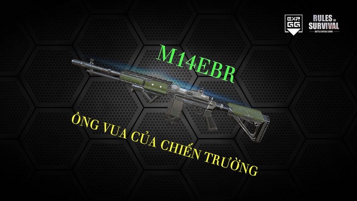 code game đại hải trình