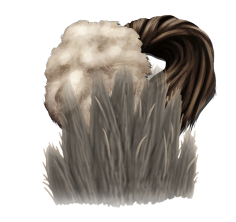 128px-Human_Hair