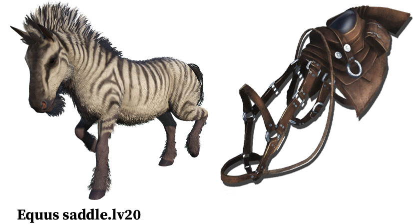 equus