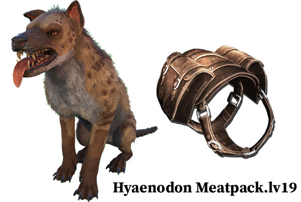 hyaenodon