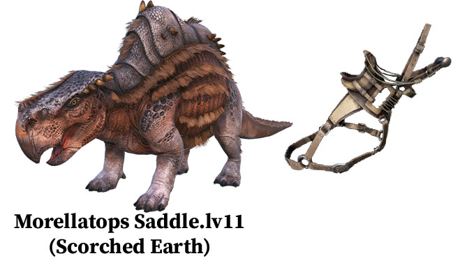morellatops