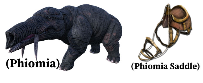phiomia