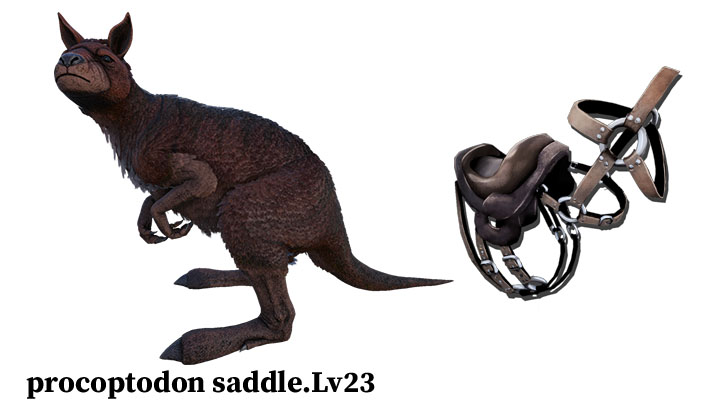 procoptodon