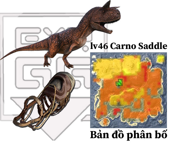 carno-saddle