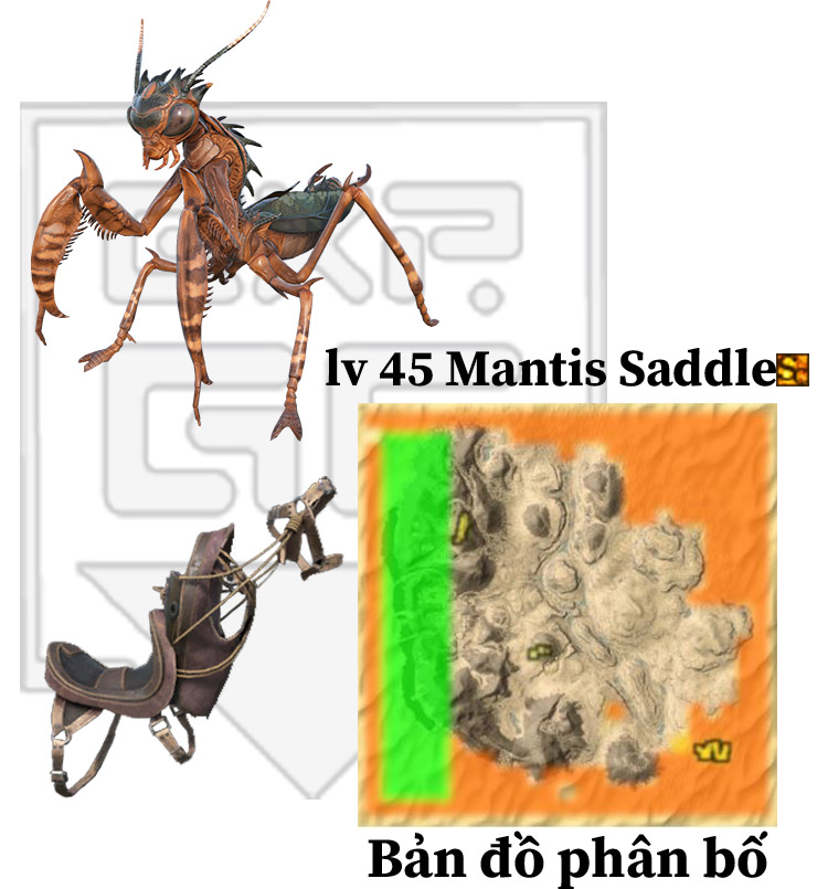 mantis-saddle