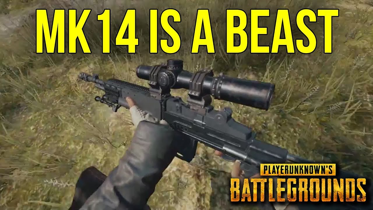 mk14 pubg mobile