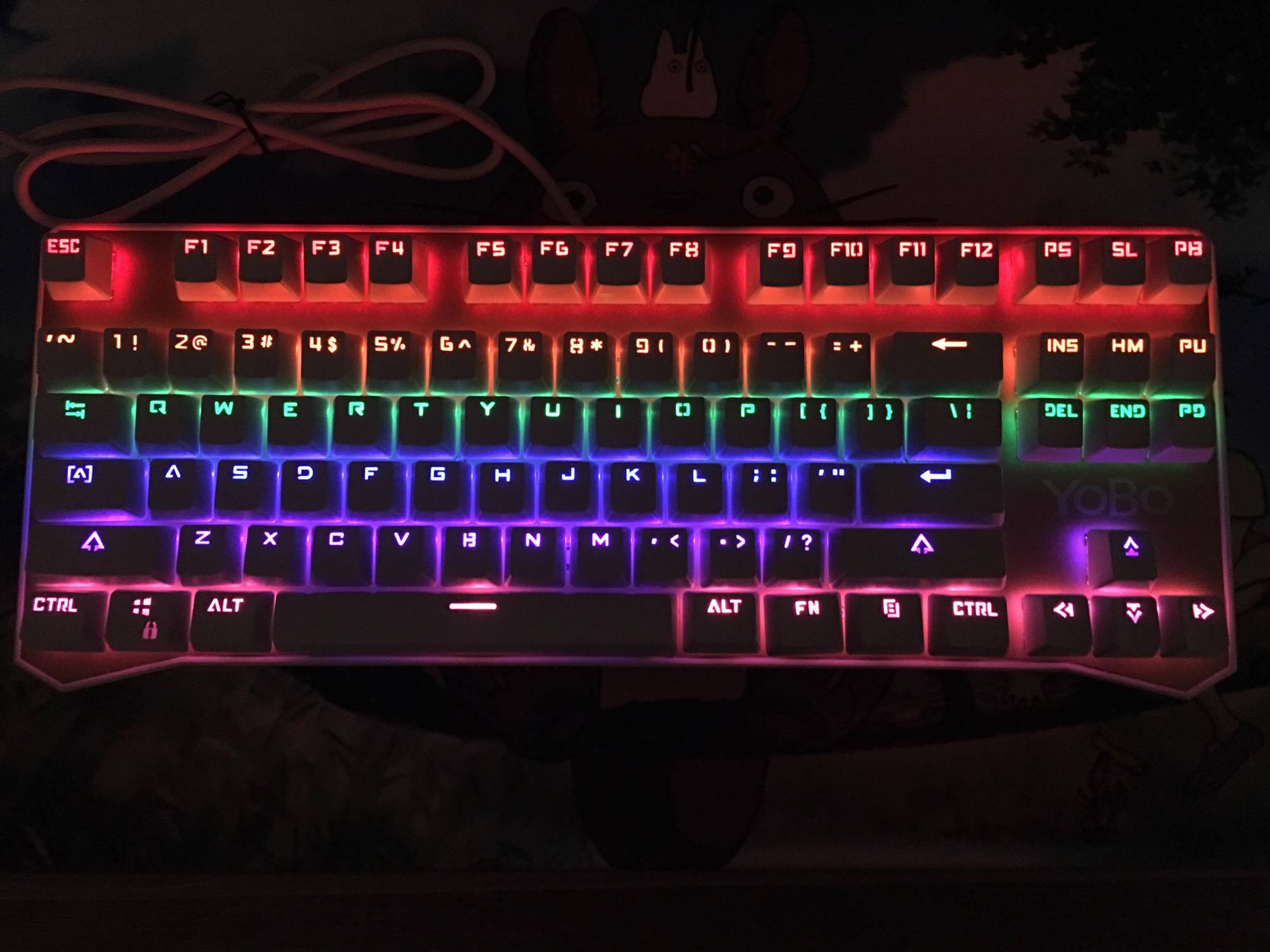 bàn phím cơ, bàn phím cơ giá rẻ, mechanical keyboard, bàn phím thường, khác biệt bàn phím cơ và bàn phím thường