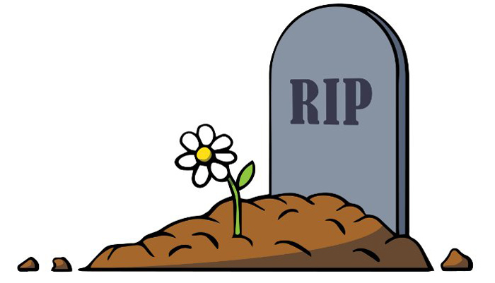 RIP được sử dụng phổ biến cho ý nghĩa chia buồn về sự ra đi của một người hay mất mát một thứ gì đó quan trọng