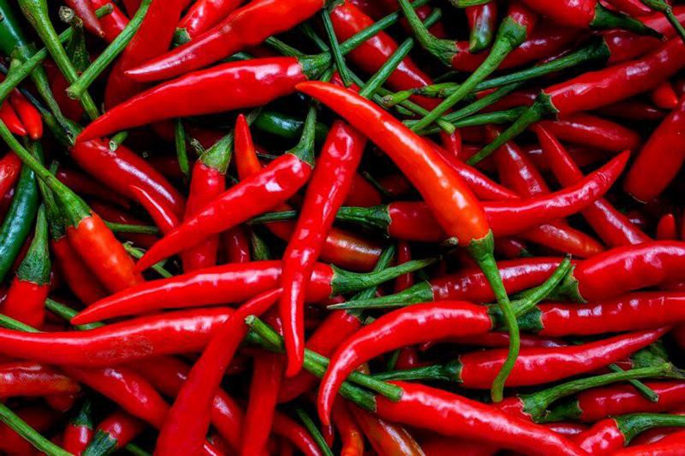 quả ớt, chilli