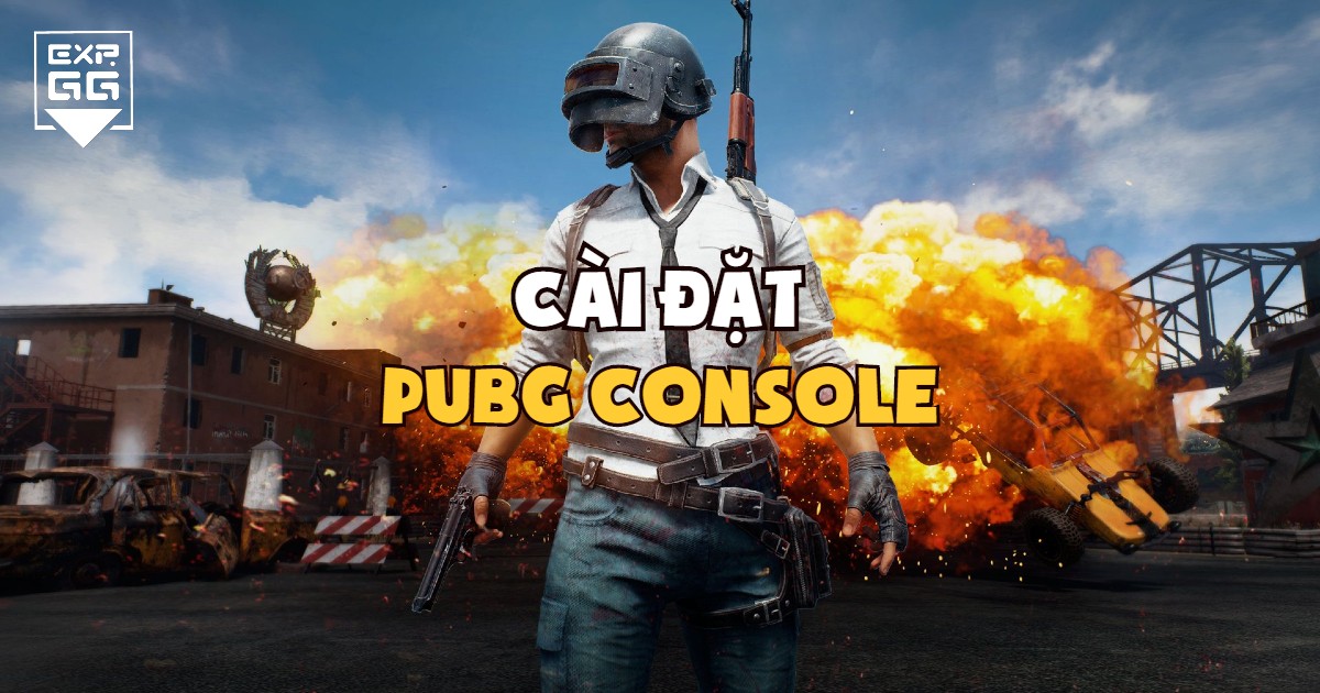 PUBG, Cài đặt, Console