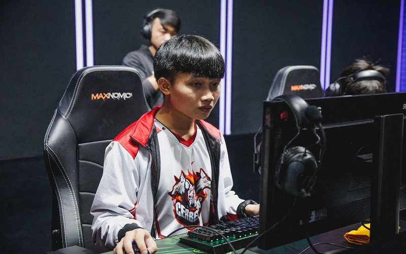 Cerberus Esports – Artemis