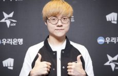 T1 Teddy