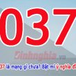 037 là mạng gì