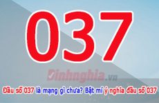 037 là mạng gì
