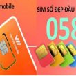 058 là mạng gì
