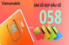 058 là mạng gì