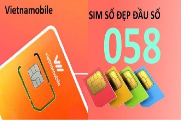 058 là mạng gì