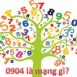 0904 là mạng gì