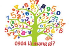 0904 là mạng gì
