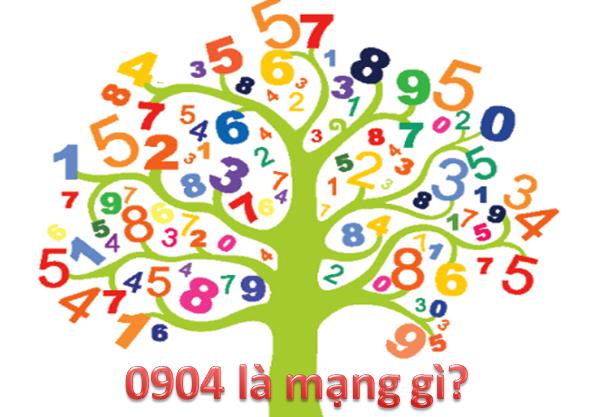 0904 là mạng gì