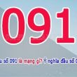 081 là mạng gì