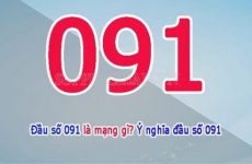 082 là mạng gì