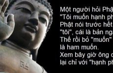 bản ngã là gì
