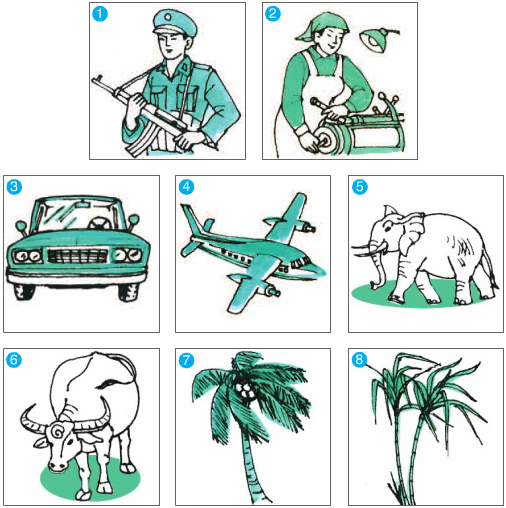 từ chỉ sự vật là gì
