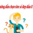 0777 là mạng gì