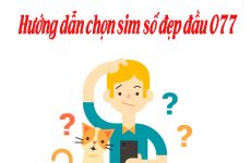 0777 là mạng gì