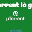 torrent là gì