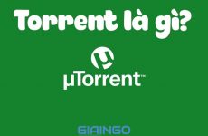 torrent là gì