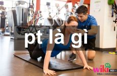 pt là gì