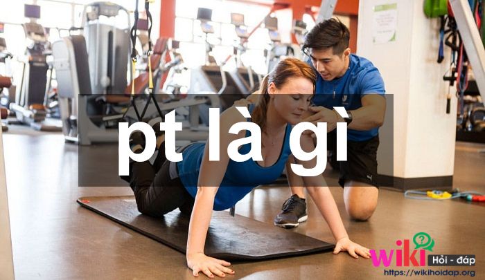 pt là gì