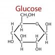 glucose là gì