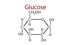 glucose là gì