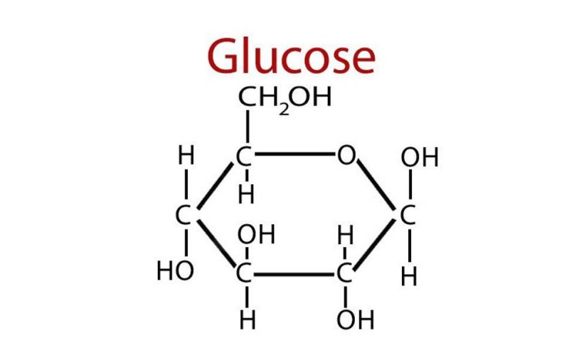 glucose là gì