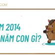 năm 2014 là năm con gì