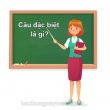 câu đặc biệt là gì