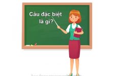 câu đặc biệt là gì