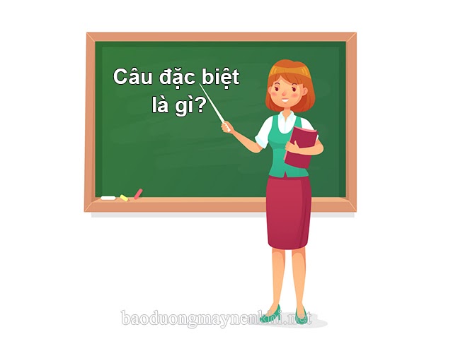 câu đặc biệt là gì
