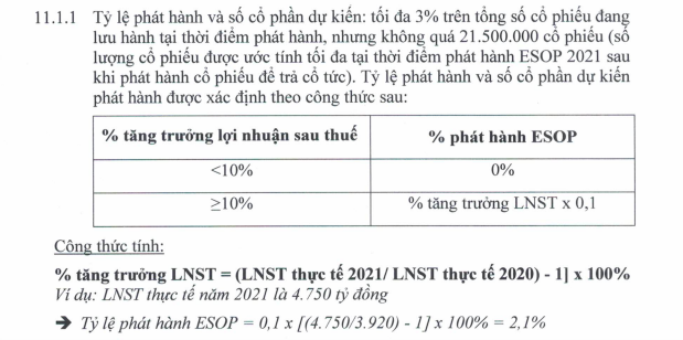 Cổ phiếu ESOP là gì – Những điều nhà đầu tư cần biết - PineTree Securities