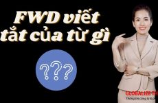 fwd là gì