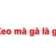 kekma.net là gì