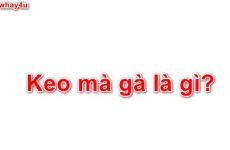 kekma.net là gì