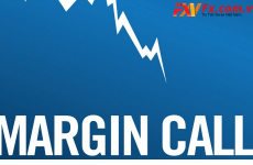 margin là gì
