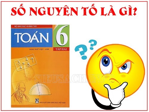 Số nguyên tố là gì? Những khái niệm liên quan đến số nguyên tố