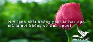 Niềm tin là gì? Nguồn gốc niềm tin và cách để xây dựng niềm tin