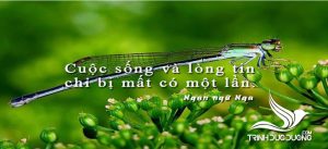 Niềm tin là gì? Nguồn gốc niềm tin và cách để xây dựng niềm tin
