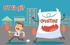 ot là gì